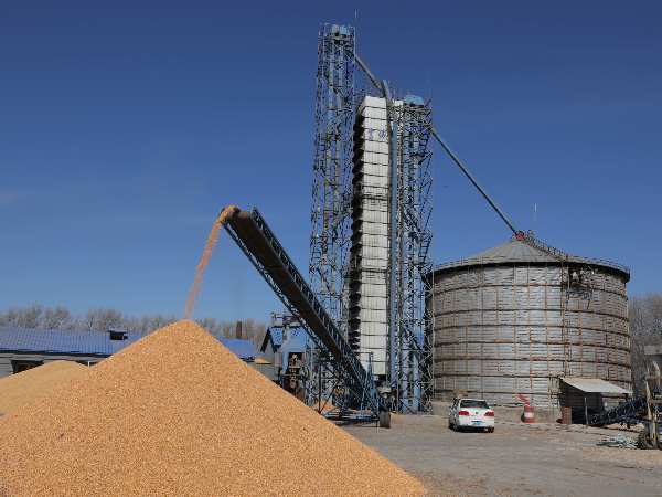 燒煤改燒秸稈大包直燃熱風(fēng)爐，烘干成本省一半