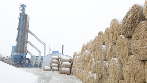 煤炭價格高，烘糧利潤低，吉林大安市500噸糧食烘干塔改用秸稈大包直燃鍋爐，每天省3萬
